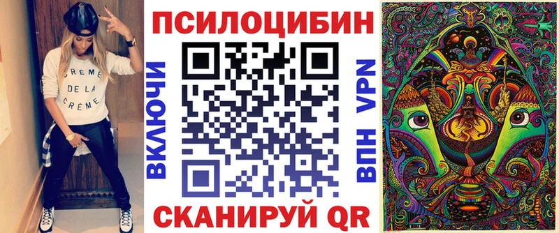 Купить закладки  Александровск-Сахалинский  Псилоцибиновые грибы мухоморы 